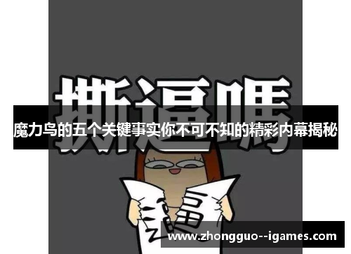魔力鸟的五个关键事实你不可不知的精彩内幕揭秘