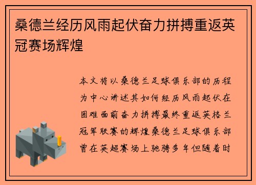 桑德兰经历风雨起伏奋力拼搏重返英冠赛场辉煌 桑德兰经历风雨起伏奋力拼搏重返英冠赛场辉煌